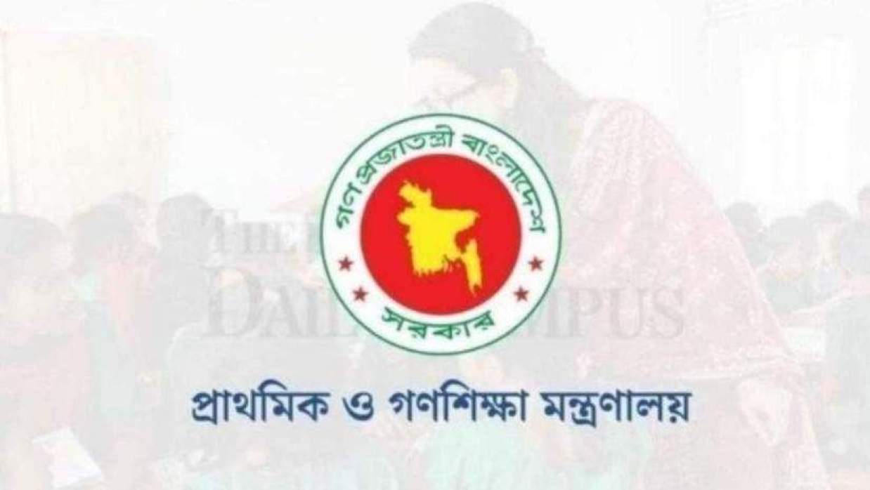 Primary Teachers to Get Appointment Letters News